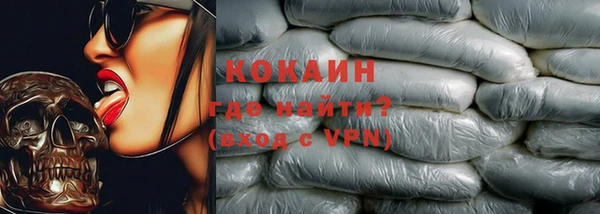 индика Алексеевка