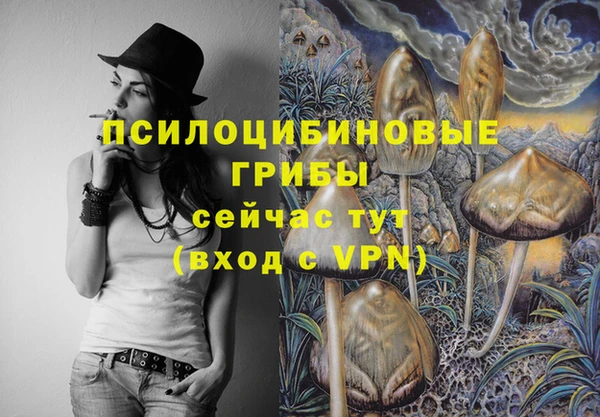 молекула духа Алексин