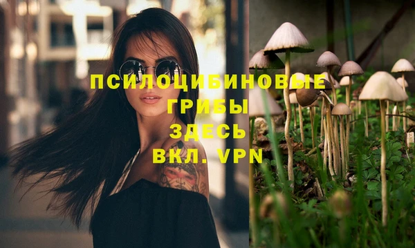 молекула духа Алексин