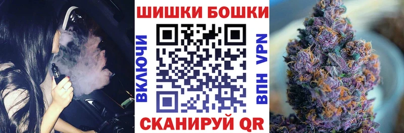 MEGA   это наркотические препараты  Бошки Шишки конопля  Гвардейск 